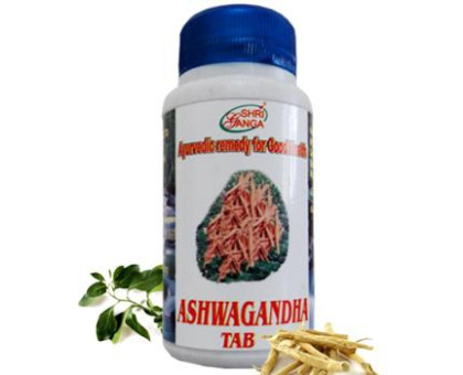 Ashwagandha Shri Ganga, 120 錠剤