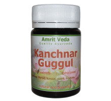 Kanchnar Guggul, 90 錠剤