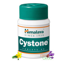 Cystone, 60 錠剤