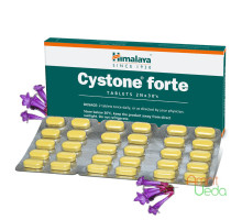 Cystone Forte, 60 錠剤