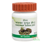 Kanchnar Guggul, 80 錠剤