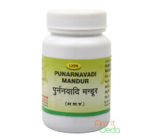 Punarnavadi Mandur, 50 grams ~ 140 таблеток