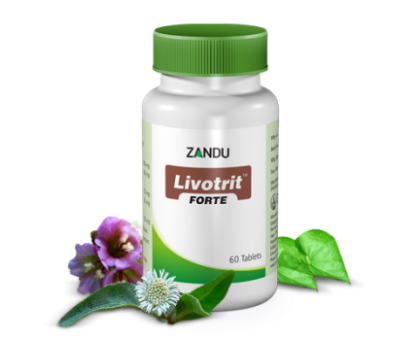 Livotrit forte Zandu, 60 錠剤