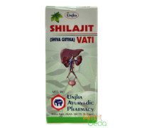 Shilajit vati, 40 錠剤 - 10 グラム