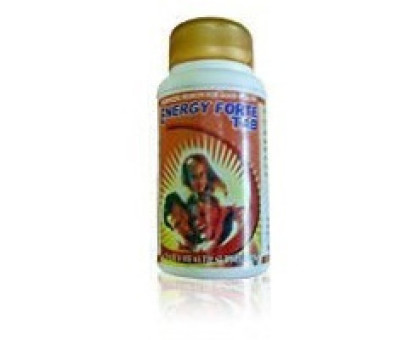 Energy forte Shri Ganga, 100 錠剤