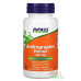 Andrographis extract 400 mg Now Foods, 90 capsules