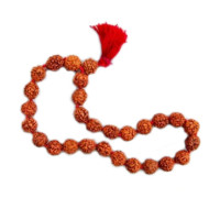 Rudraksha bracelet, 27 beads